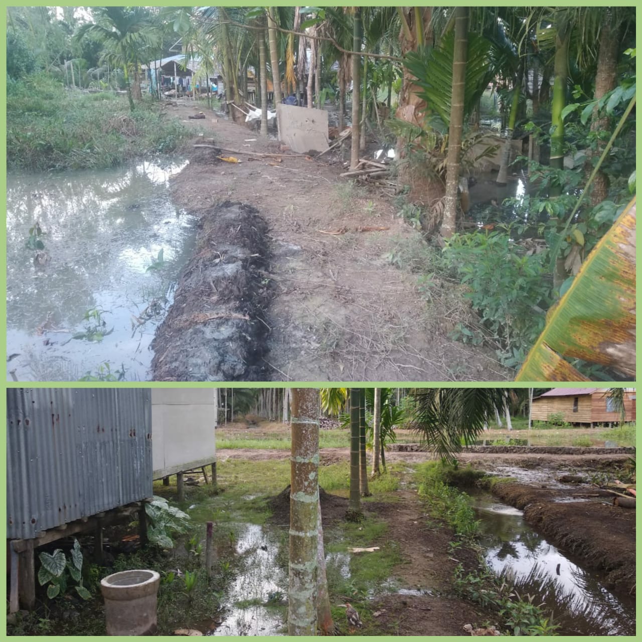 Masuk Musim Hujan, Petani Kelurahan Singkep Sangat Membutuhkan Solusi Pengendalian Banjir