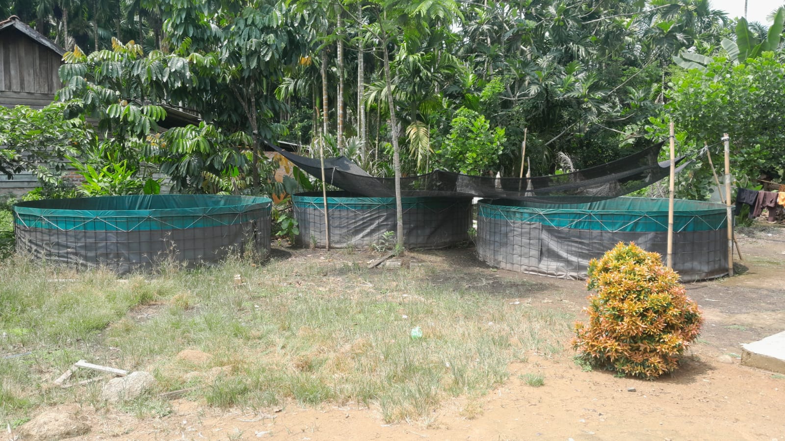Pemdes Pandan Sejahtera Anggarkan Program Ketahanan Pangan Desa